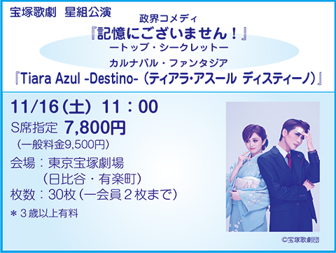 宝塚歌劇チケット 星組公演 記憶にございません S席2枚 光らせろ